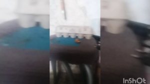 пять ночей с хугивуги 2 ночь1