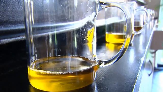 Маслодел. Репортаж на 1 канале.