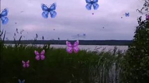 Россия Ленинградская область Выборгский район Бобочино п. Поляны озеро Церковное лета 2023-2026