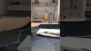 Распаковка 💐