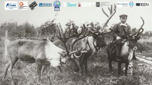 ОЛЕННЫЙ ВСАДНИК