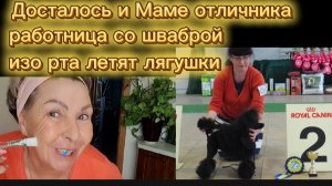 Бравенькая Ольга Опять 25 Меме отличника по самое не балуй Как заяц из табакерки и обратно