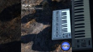 ППК - 21 век (Radio edit )