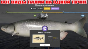 УНИКАЛЬНАЯ ТОЧКА НА ТРОФ ПАЛИЮ, ФАРМ НА ВЕКИ В РУССКОЙ РЫБАЛКЕ 4 РР4