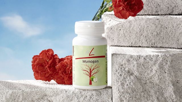 FitLine Munogen. Академия по питанию Костина Г.Н. смотреть онлайн