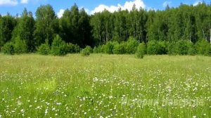 «Ты что думаешь, еда сама приготовится. Права была моя мама»… Но от слов супруги он…