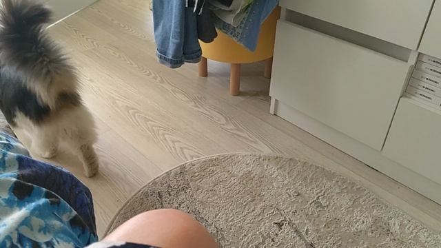 Получила букеты на кладбище. Света нет...