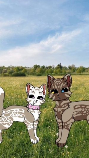 у меня есть еще два парня!