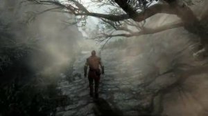 Skyrim - Music & Ambience (Walking to Rorikstead)