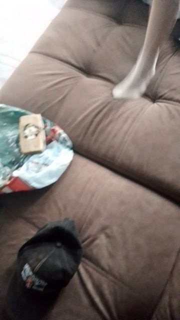 в гостях у брата