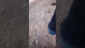 ПАРКУР НА ЗАБРОШКЕ