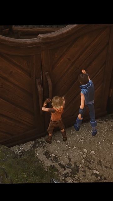 Мы просто постучали… и началось ЭТО 😳 #cyberpanda #brothers #games #кооперативные  #gta