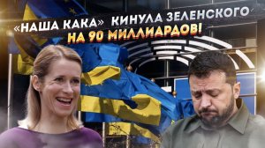 Европа дала Зеленскому – серпом по … финансам!