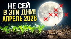 ЛУННЫЙ КАЛЕНДАРЬ садовода и огородника на АПРЕЛЬ 2026. Благоприятные дни посадок для богатого урожая