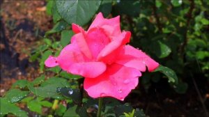 Сила воды 2 апреля. Обряд, который изменит жизнь.