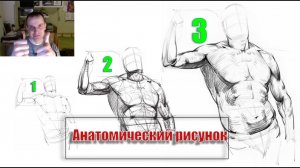 Анатомический рисунок - А. Рыжкин