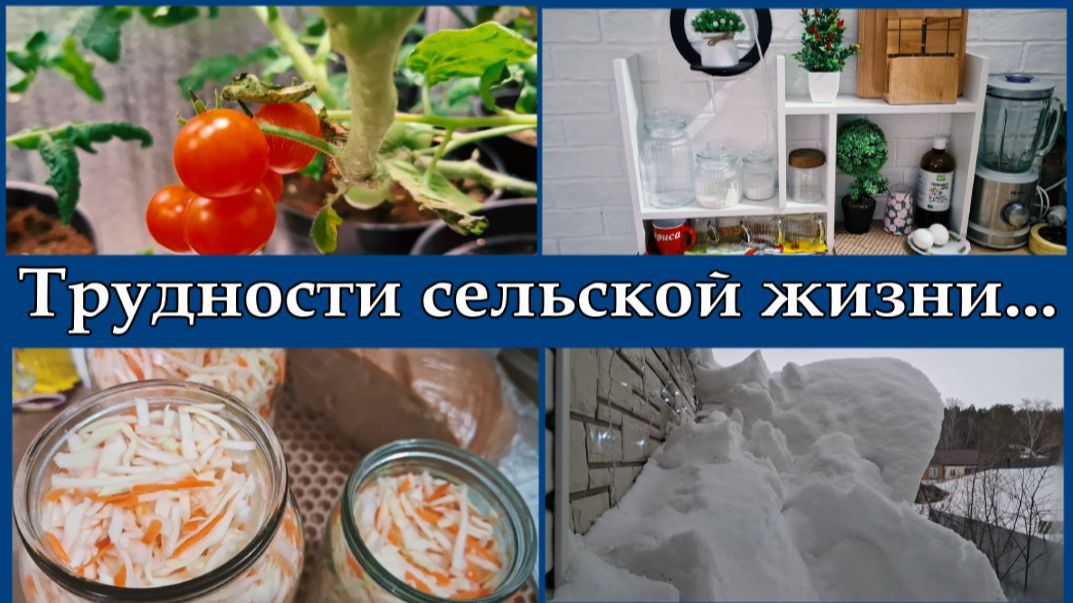 Живем простоБытовухаМариную капустуПолочки полочки..