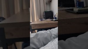 беседа с подписчиками