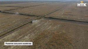 Глава Калмыкии провел рабочую встречу с министром сельского хозяйства России