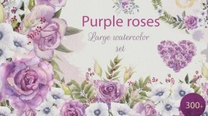 Watercolor set with purple roses