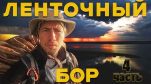 АЛТАЙ. РЫСЬ В ЛЕСУ! ПОПАЛ В ГРОЗУ. Ленточный бор 4 часть