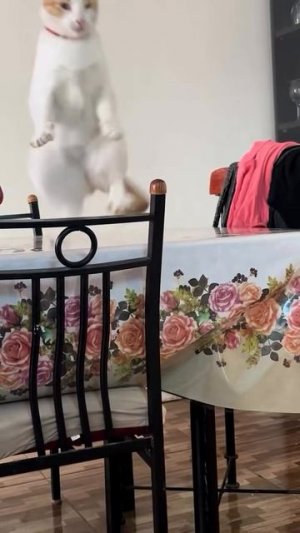 Выстрелил и был таков!