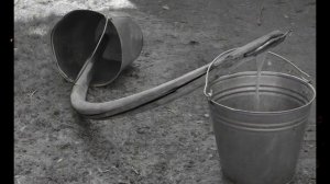 «Не свисти — денег не будет!» 8 суеверий, которые управляют вашей жизнью даже в 2026 году