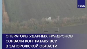 Операторы ударных FPV-дронов сорвали контратаку ВСУ в Запорожской области