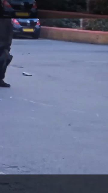 В Британии грабитель с мачете пытался уехать на угнанном байке, но местный брутал его отговорил.