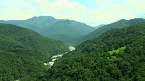 В Сочинском нацпарке задержали вооруженного браконьера