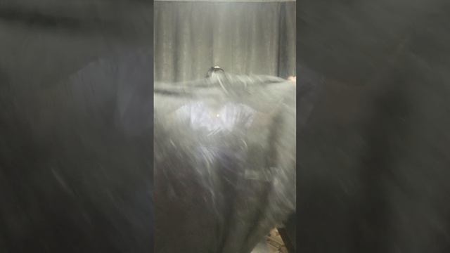 1000250923.mp4 Пуховые изделия у Ольги.т.89020931602