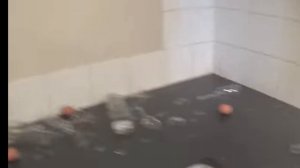 How To Get Rid of a Fly