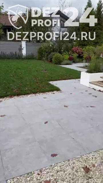 Уничтожение слизней