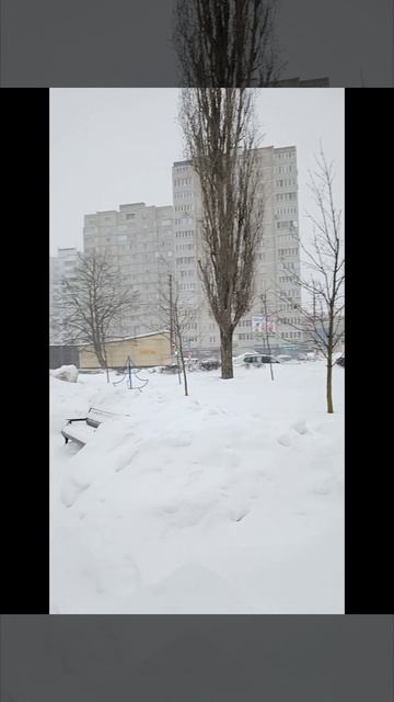 Госпитализация 16 февраля 2026 г