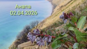 Анапа 02.04.2026 про 400 ступенек