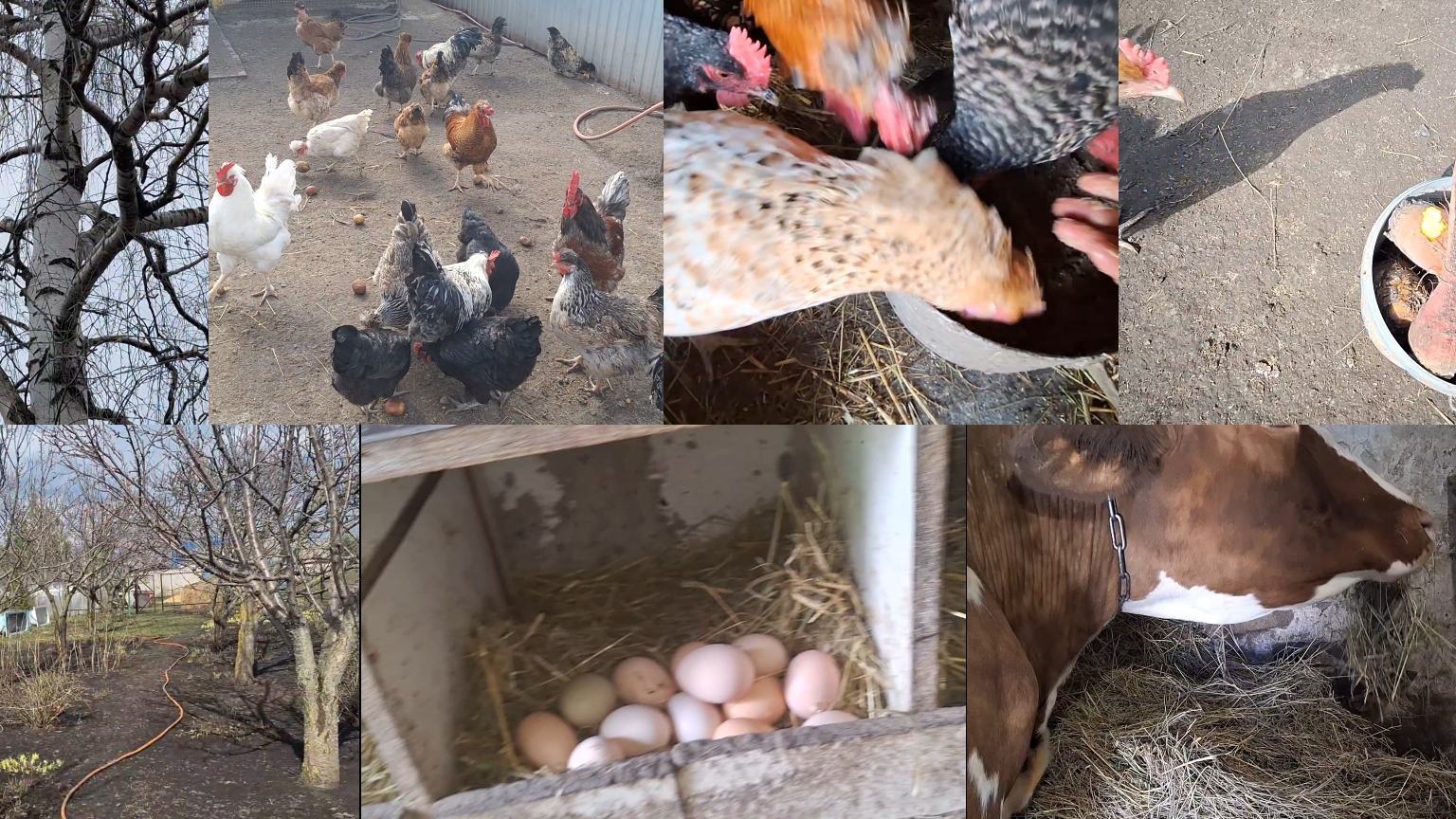 Просто жизнь в Деревне