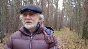 5 видов медитации, Лайя йога.