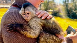 Нам УДАЛОСЬ ДОСТАТЬ Финика, но он все равно ГРУСТИТ И ОБИЖАЕТСЯ, что рядом НЕТ ЛЮБИМОГО ПАПЫ!