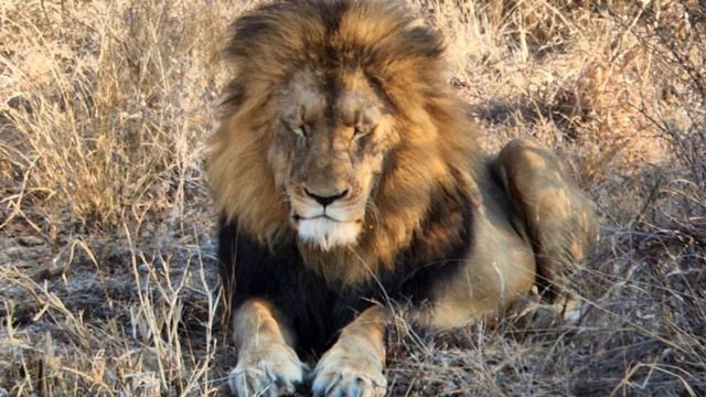 KARONGWE Safari South Africa