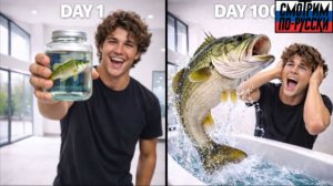 Я вырастил ДОМАШНЕГО окуня (эволюция за 1000 дней) 🎣😱