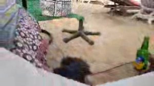 СТРИМ МОРСКОЙ И МОЙ НОВЫЙ КАНАЛ‼️