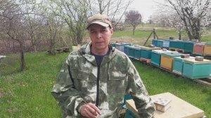 2 апреля на лесной пасеке