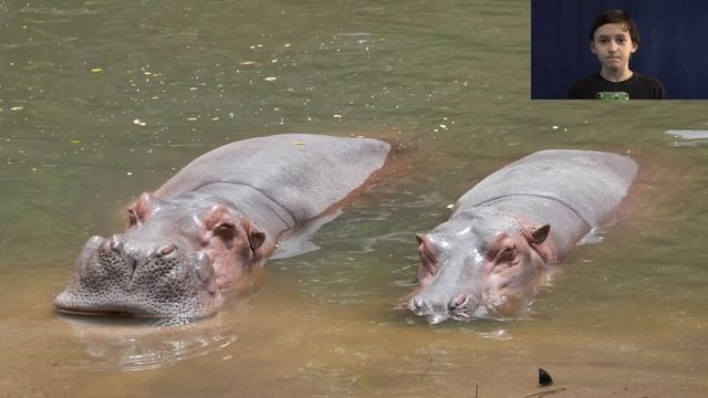 фёдор казаков