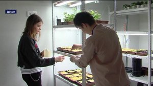 Инклюзивный фестиваль "Люди как люди" провели в Тюмени