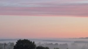 Розовый закат