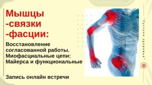 Мышцы -связки -фасции: Восстановление согласованной работы. Запись онлайн встречи