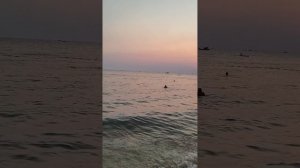 На закате Вьетнам 02.04.26.