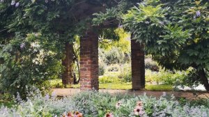 ЖАЛЕЮ сл Лилии Папушиной музыка исполняет Юрий Старцев баян