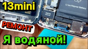Утопили iPhone, Что делать? Ремонт iPhone 13 mini после залития