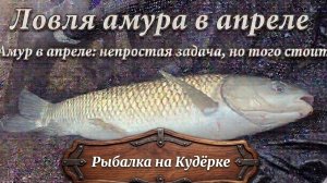 Амур в апреле: непростая задача, но того стоит. Рыбалка на Кудёрке